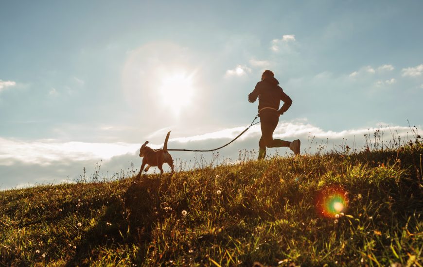 Rodeo Valley 8K race