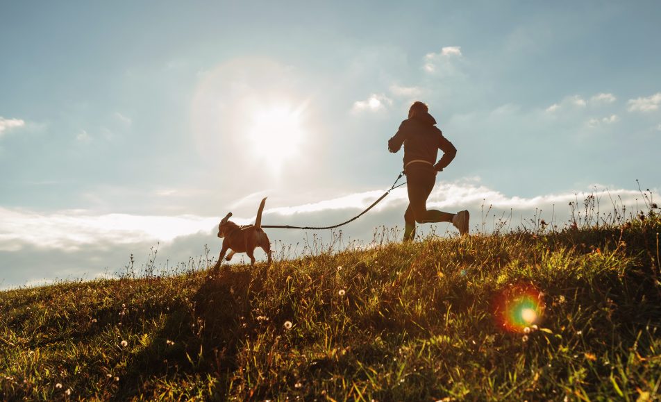 Rodeo Valley 8K race
